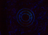 PNOTW 3 la spirale